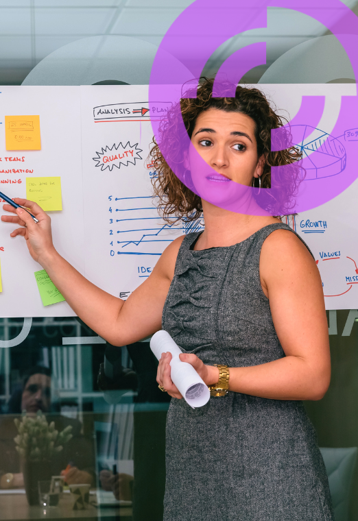 Gerenciando Projetos Ágeis Por Sprint